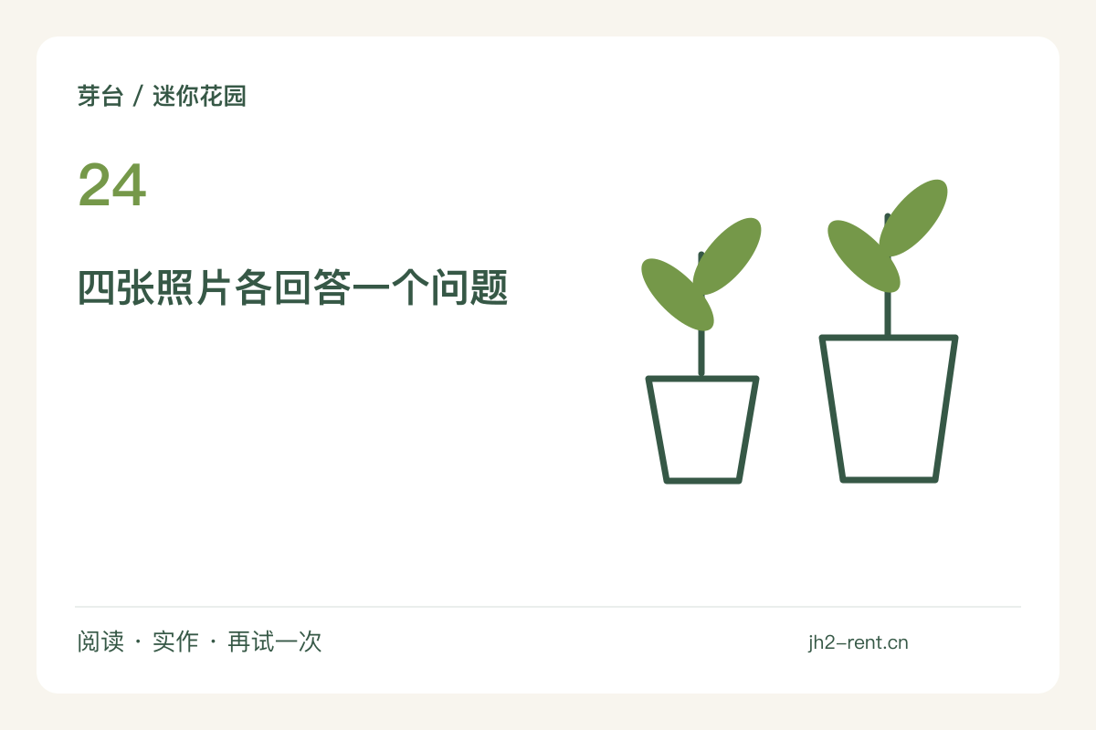 四张照片呈现同一个小花园：全景、局部、影子与使用主题图解