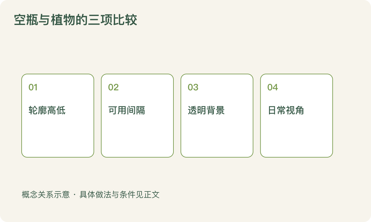 空瓶与植物的三项比较:轮廓高低;可用间隔;透明背景;日常视角