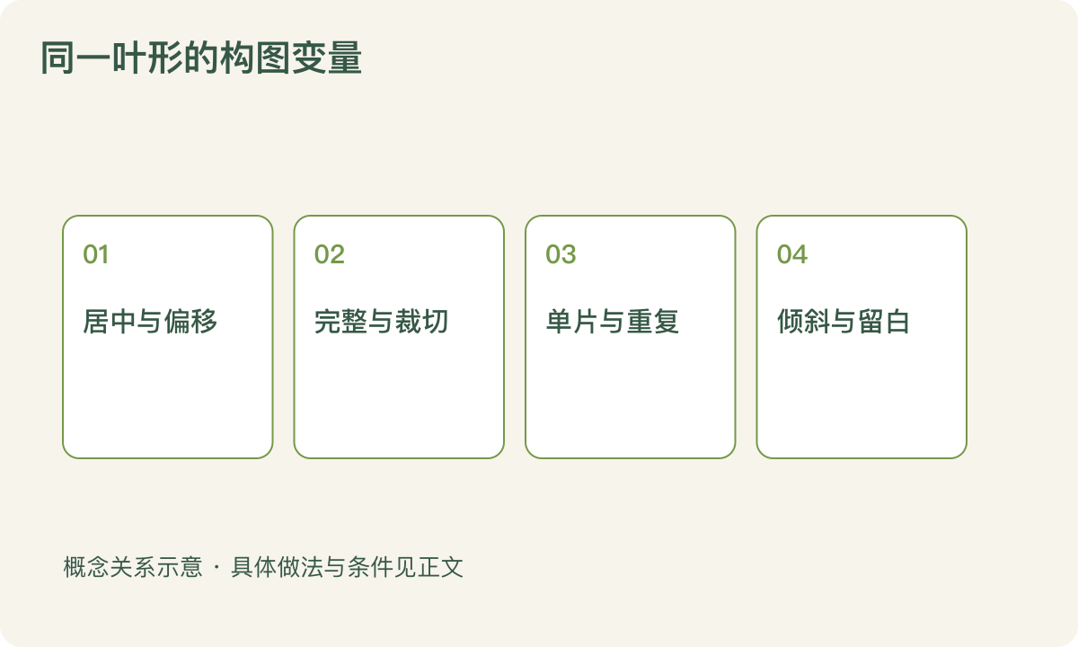 同一叶形的构图变量:居中与偏移;完整与裁切;单片与重复;倾斜与留白