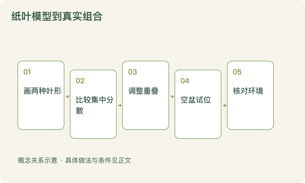 纸叶模型到真实组合:画两种叶形;比较集中分散;调整重叠;空盆试位;核对环境