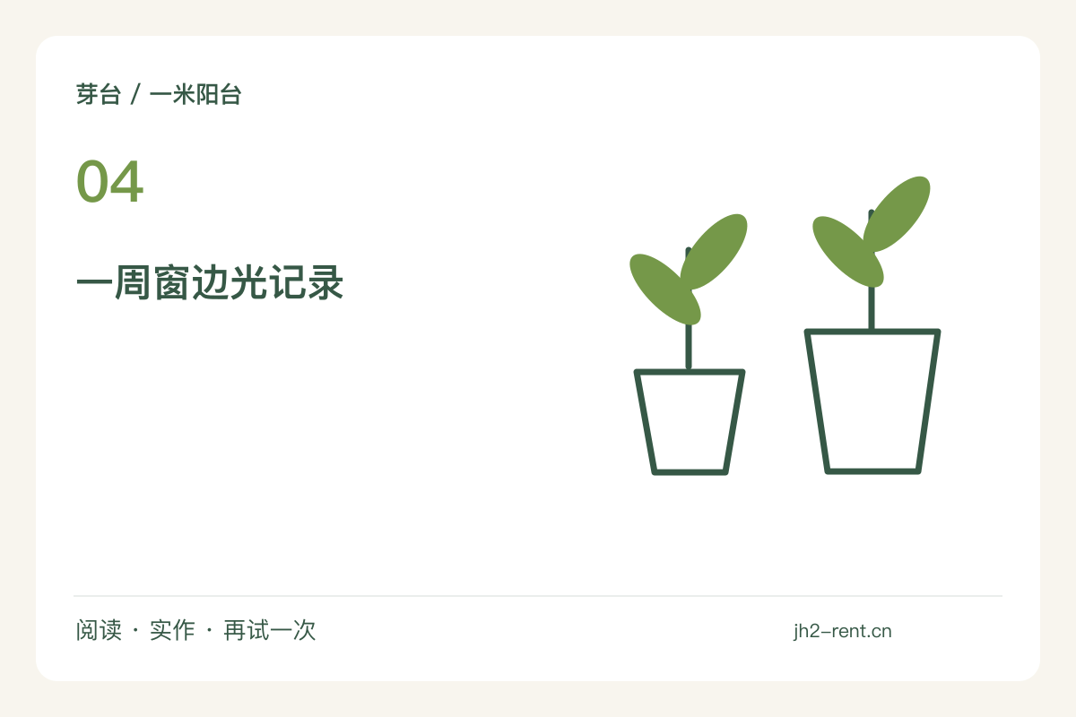 先看一周窗边光,再决定花盆的固定位置主题图解